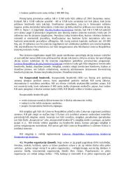 Įmonių raida 8 puslapis