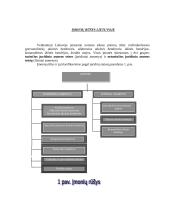 Įmonių rūšys Lietuvoje 2 puslapis