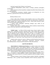 Įmonių rūšys Lietuvoje 5 puslapis