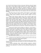 Įmonių rūšys Lietuvoje 6 puslapis