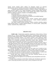 Įmonių rūšys Lietuvoje 9 puslapis