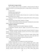 Įmonių steigimas. Steigėjai, steigimo dokumentai, įmonių registravimas 13 puslapis