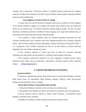 Įmonių steigimas. Steigėjai, steigimo dokumentai, įmonių registravimas 14 puslapis