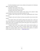 Įmonių steigimas. Steigėjai, steigimo dokumentai, įmonių registravimas 17 puslapis