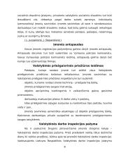 Įmonių steigimas. Steigėjai, steigimo dokumentai, įmonių registravimas 8 puslapis