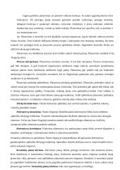 Įmonių strateginis planavimas 2 puslapis