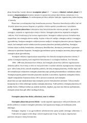 Įmonių strateginis planavimas 3 puslapis