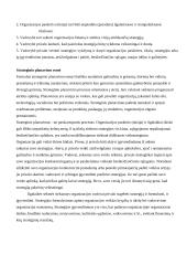 Įmonių strateginis planavimas 4 puslapis