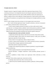 Įmonių strateginis planavimas 5 puslapis