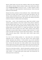 Infliacijos periodas 2 puslapis