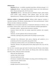 Infliacijos periodas 3 puslapis