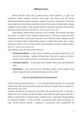 Infliacijos ir nedarbo sąsaja 3 puslapis