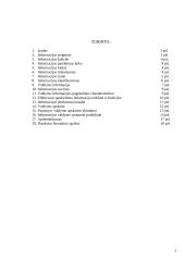 Informacija valdyme: duomenų surinkimo ir įvertinimo būdai 2 puslapis