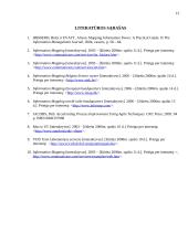 Informacijos srautų žemėlapiai 12 puslapis