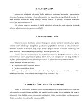 Informacijos srautų žemėlapiai 7 puslapis