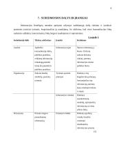 Informacijos srautų žemėlapiai 9 puslapis