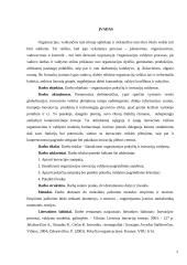 Inovacijų ir pokyčių valdymas 2 puslapis