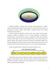 Inovacijų ir pokyčių valdymas 5 puslapis