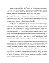 Interesų grupės, jų rūšys ir nauda 3 puslapis