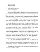 Interesų grupės, jų rūšys ir nauda 5 puslapis