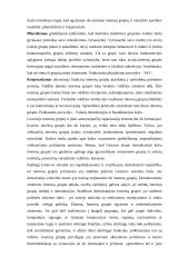 Interesų grupių vaidmuo politinėje sistemoje. Jų vieta Lietuvoje 3 puslapis