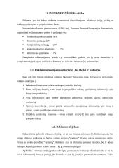 Internetinė reklama 3 puslapis