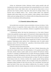 Internetinė reklama 5 puslapis