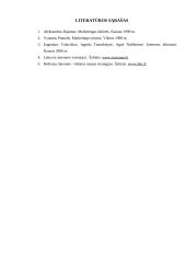 Internetinė reklama 10 puslapis