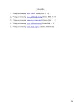 Investicijos į Baltijos šalių nekilnojamąjį turtą 18 puslapis