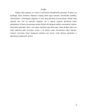 Investicijos į Baltijos šalių nekilnojamąjį turtą 3 puslapis