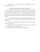 Investicijos į Baltijos šalių nekilnojamąjį turtą 7 puslapis