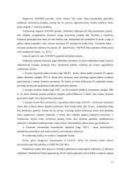 Investicijų į Lietuvos žemės ūkį būdai ir svarba 11 puslapis