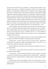 Investicijų į Lietuvos žemės ūkį būdai ir svarba 12 puslapis