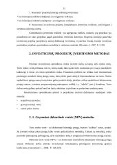 Investiciniai projektai. Rizikos identifikavimas ir analizė 10 puslapis