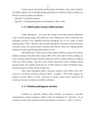 Investiciniai projektai. Rizikos identifikavimas ir analizė 11 puslapis