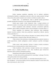 Investiciniai projektai. Rizikos identifikavimas ir analizė 12 puslapis