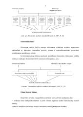 Investiciniai projektai. Rizikos identifikavimas ir analizė 6 puslapis