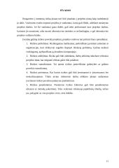 Investicinių projektų rizika ir jos valdymas 10 puslapis