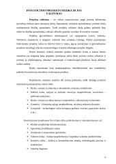 Investicinių projektų rizika ir jos valdymas 3 puslapis