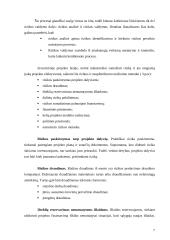 Investicinių projektų rizika ir jos valdymas 6 puslapis