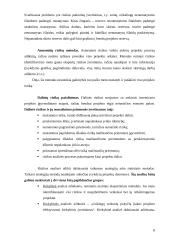 Investicinių projektų rizika ir jos valdymas 7 puslapis