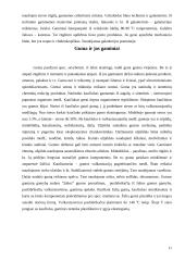 Inžinerinės medžiagos 11 puslapis