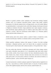 Inžinerinės medžiagos 18 puslapis