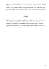 Inžinerinės medžiagos 19 puslapis