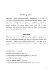 Inžinerinės medžiagos 3 puslapis