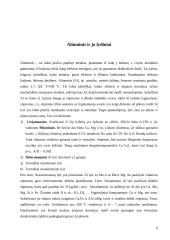 Inžinerinės medžiagos 6 puslapis