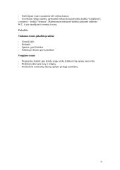 Ispanijos verslo kultūra 6 puslapis