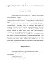 Jei aš tapčiau vadovu 8 puslapis