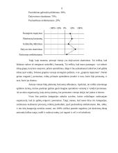 Jei aš tapčiau vadovu 9 puslapis