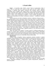 Kaimo turizmo sodyba 11 puslapis